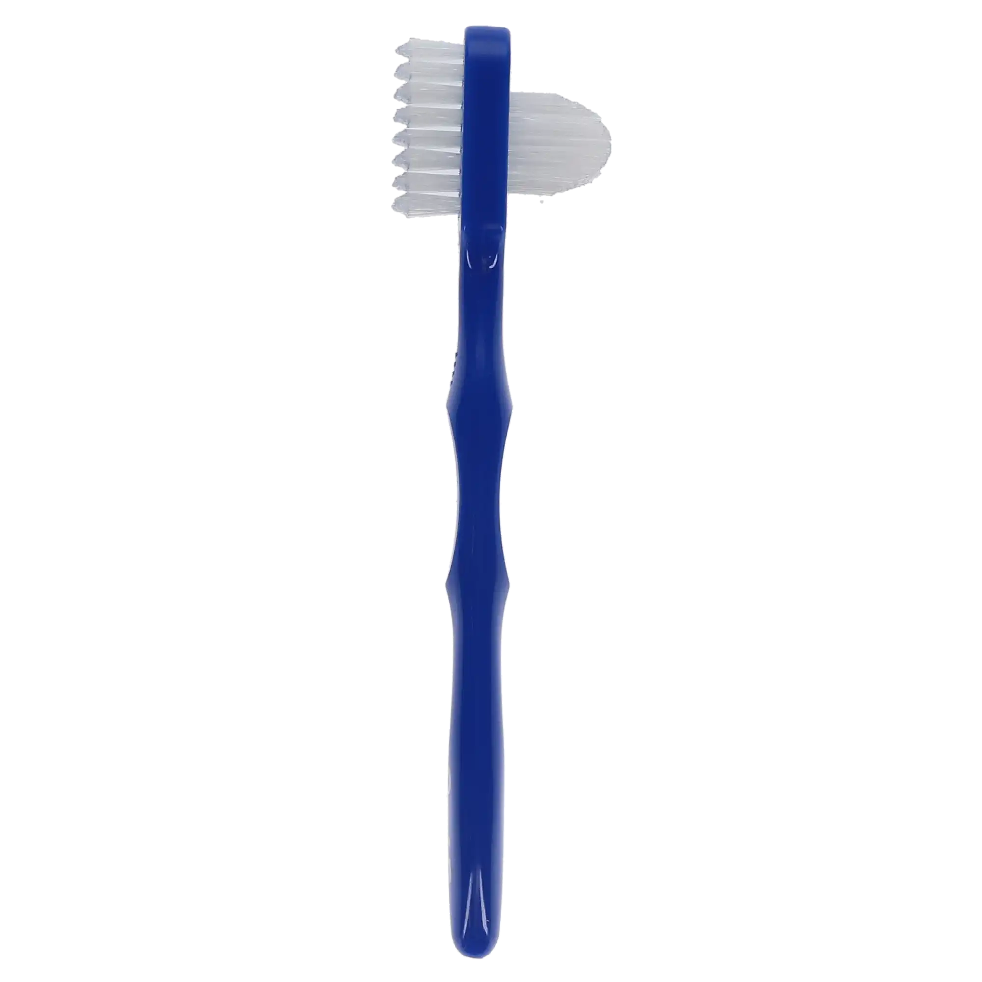 Oral-B Denture Brush, Dual Head, Firm Nylon Bristles, 6/Bx, 80310196 thumbnail 13
