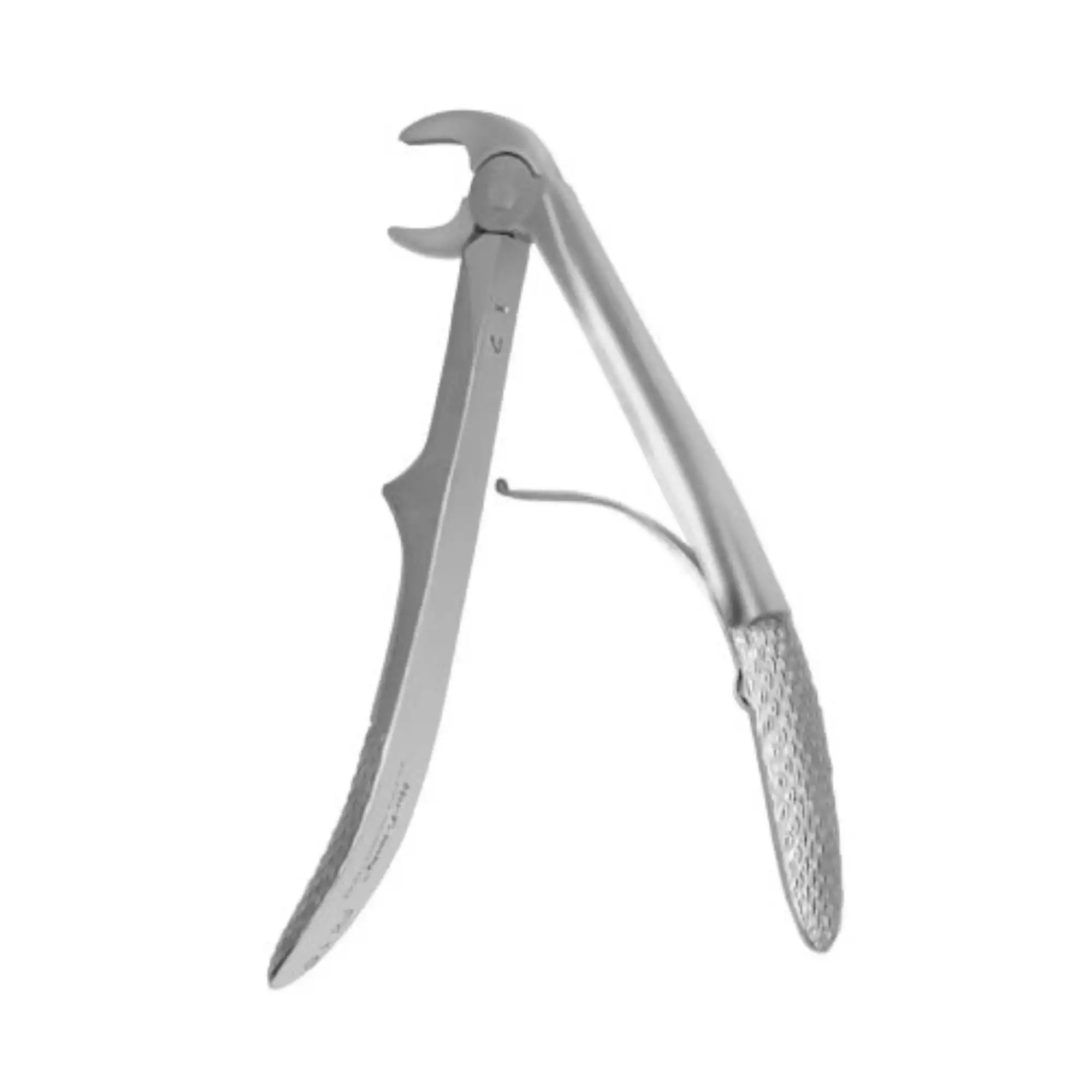 Hu-Friedy 1C European Pedo Anterior Forceps, Lower Incisors, Stainless Steel, FX1CE thumbnail 2