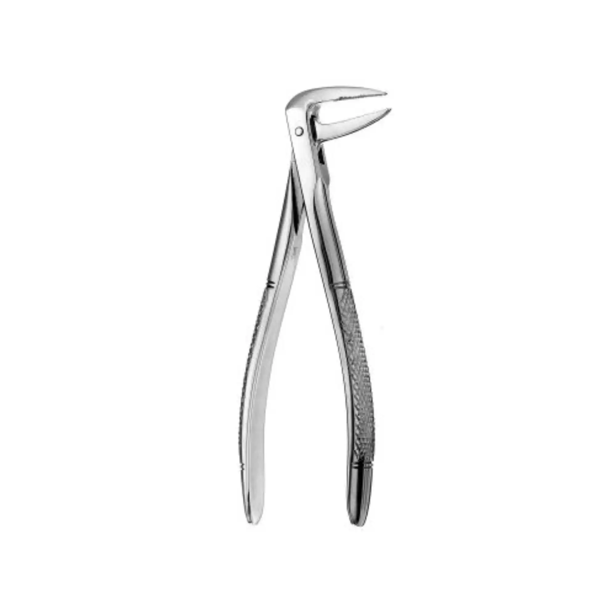 Hu-Friedy Extraction Forceps, Root, 233 European-Style, Serrated, Lower Roots, Stainless Steel, FX233 thumbnail 2