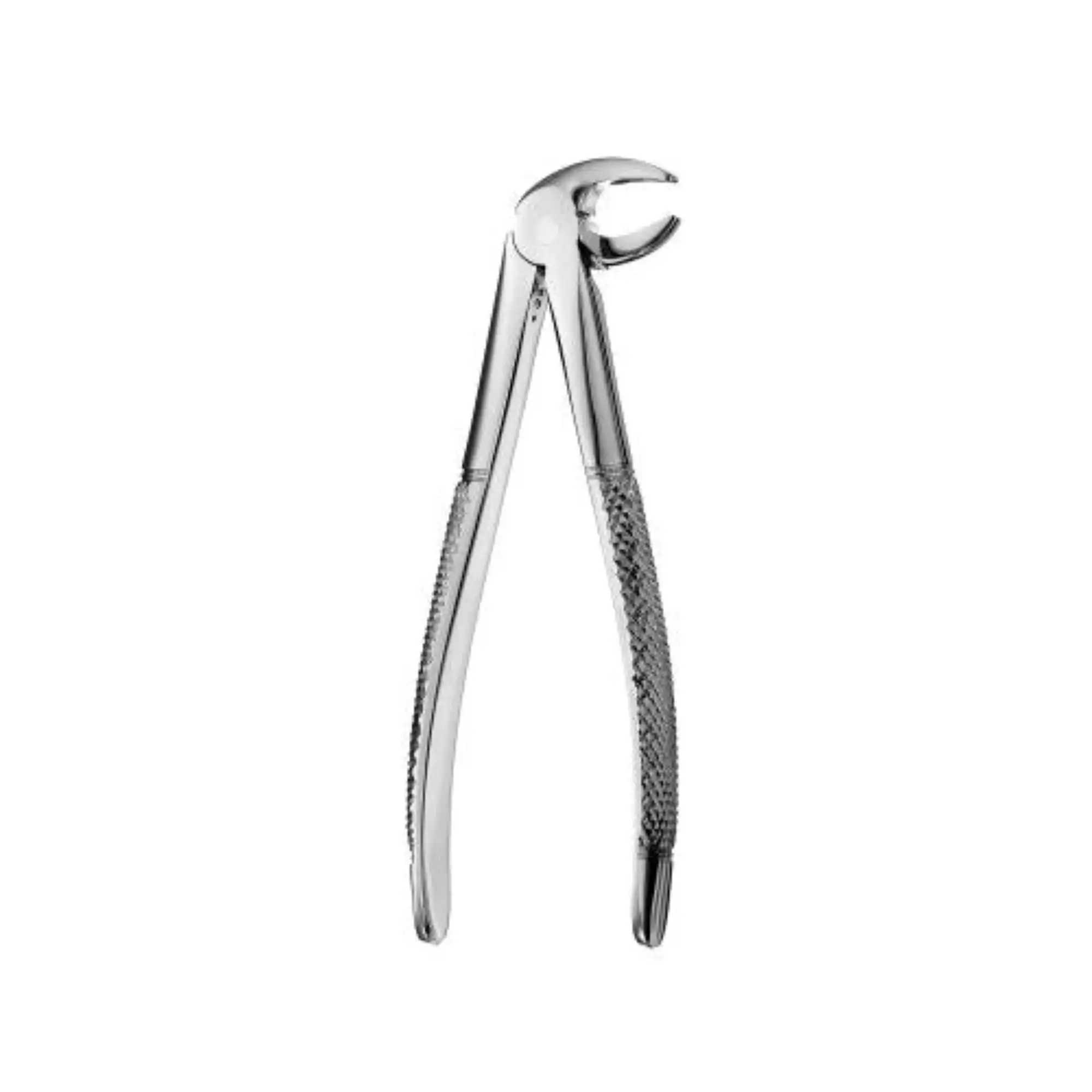 Hu-Friedy MD3 Mead Serrated Extraction Forceps, Lower Incisors & Roots, Stainless Steel, FMD3 thumbnail 2