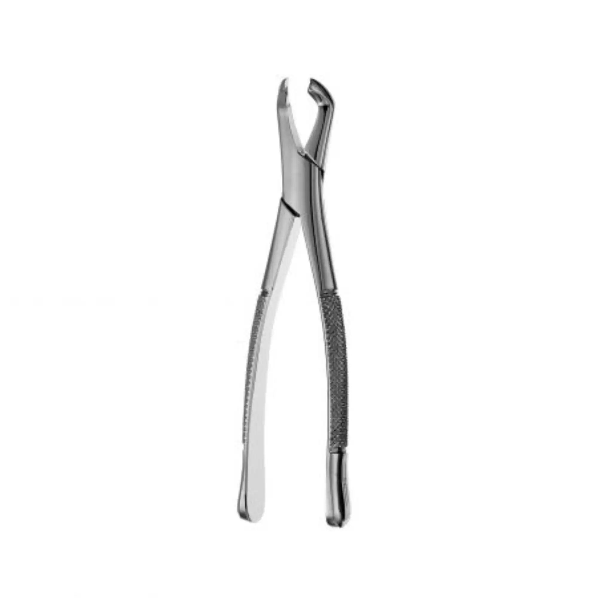 Hu-Friedy Presidential 222 Extraction Forceps, Lower Third Molar, Stainless Steel, F222 thumbnail 2