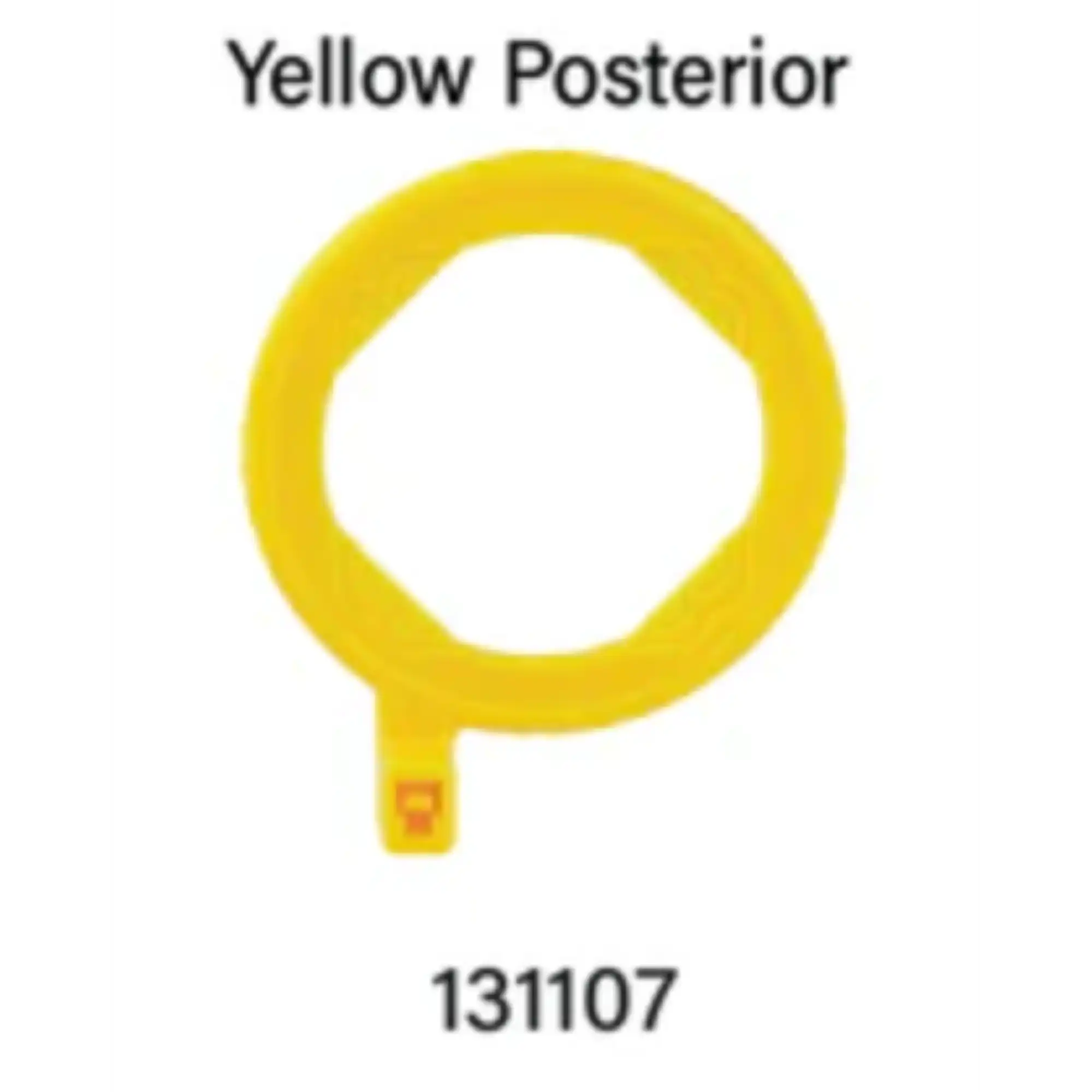 Pac-Dent EzAim Autoclavable Posterior Positioning Ring, Yellow, 1/Pack, 131107 thumbnail 3