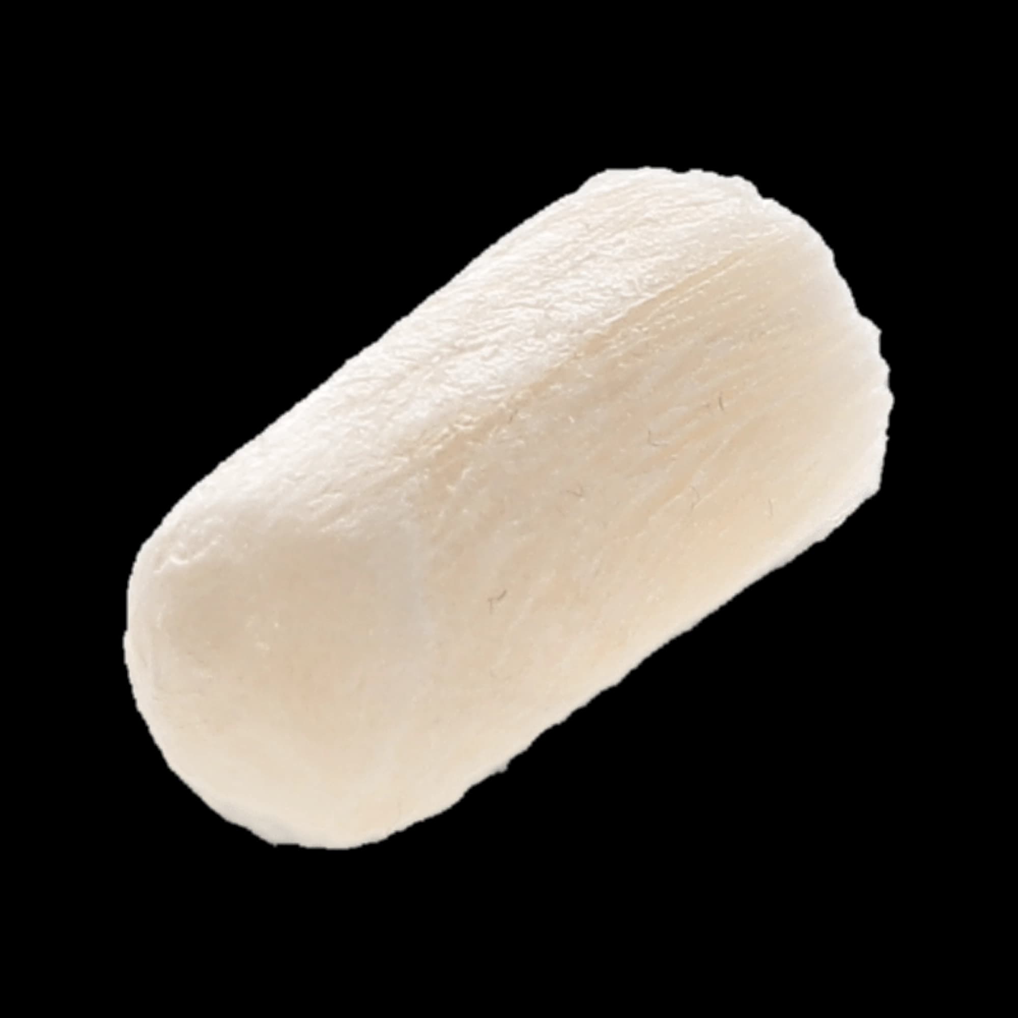 DSI Pure Sponge 100% Collagen Plug, Blister Pack, 10 mm x 20 mm, 10/Box, DS-PS1020 thumbnail 2