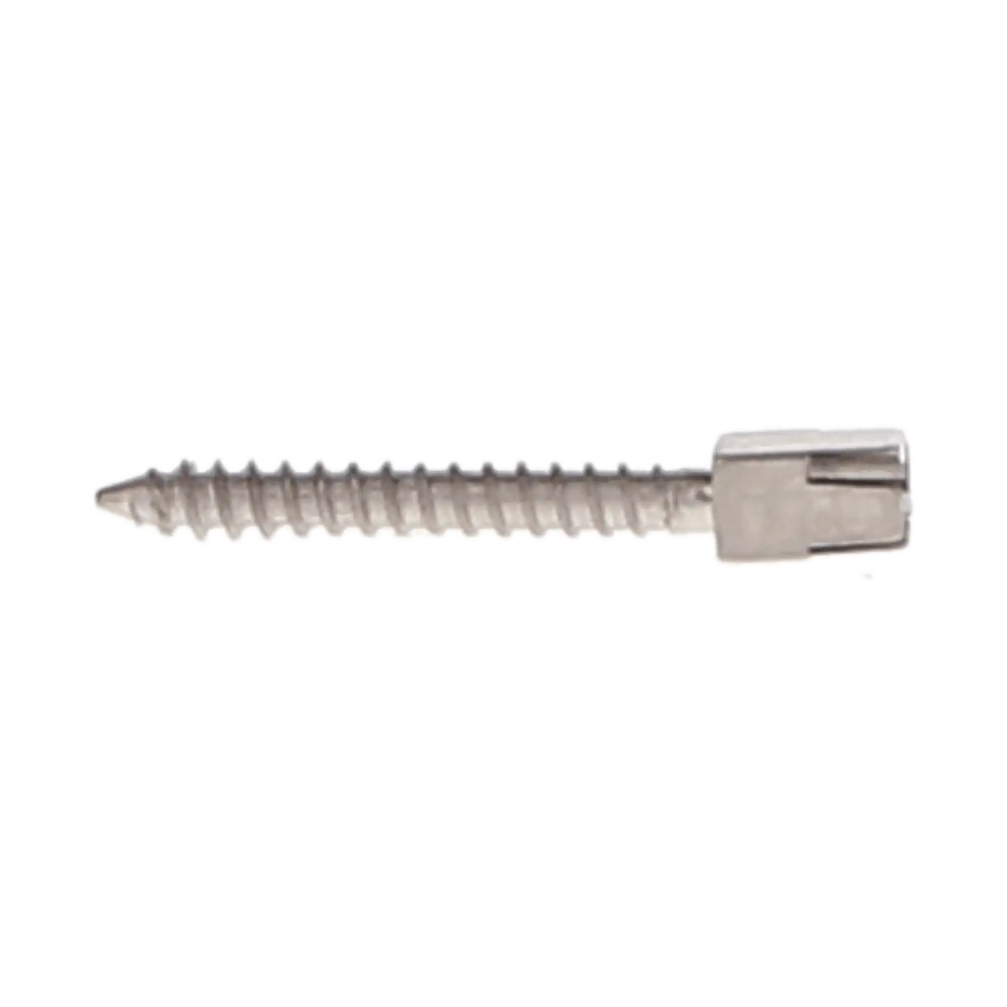 House Brand Dentistry Titanium Screw Post Refill, L2, #2 Long, 11.8mm, 12/Pk, 400031 thumbnail 4
