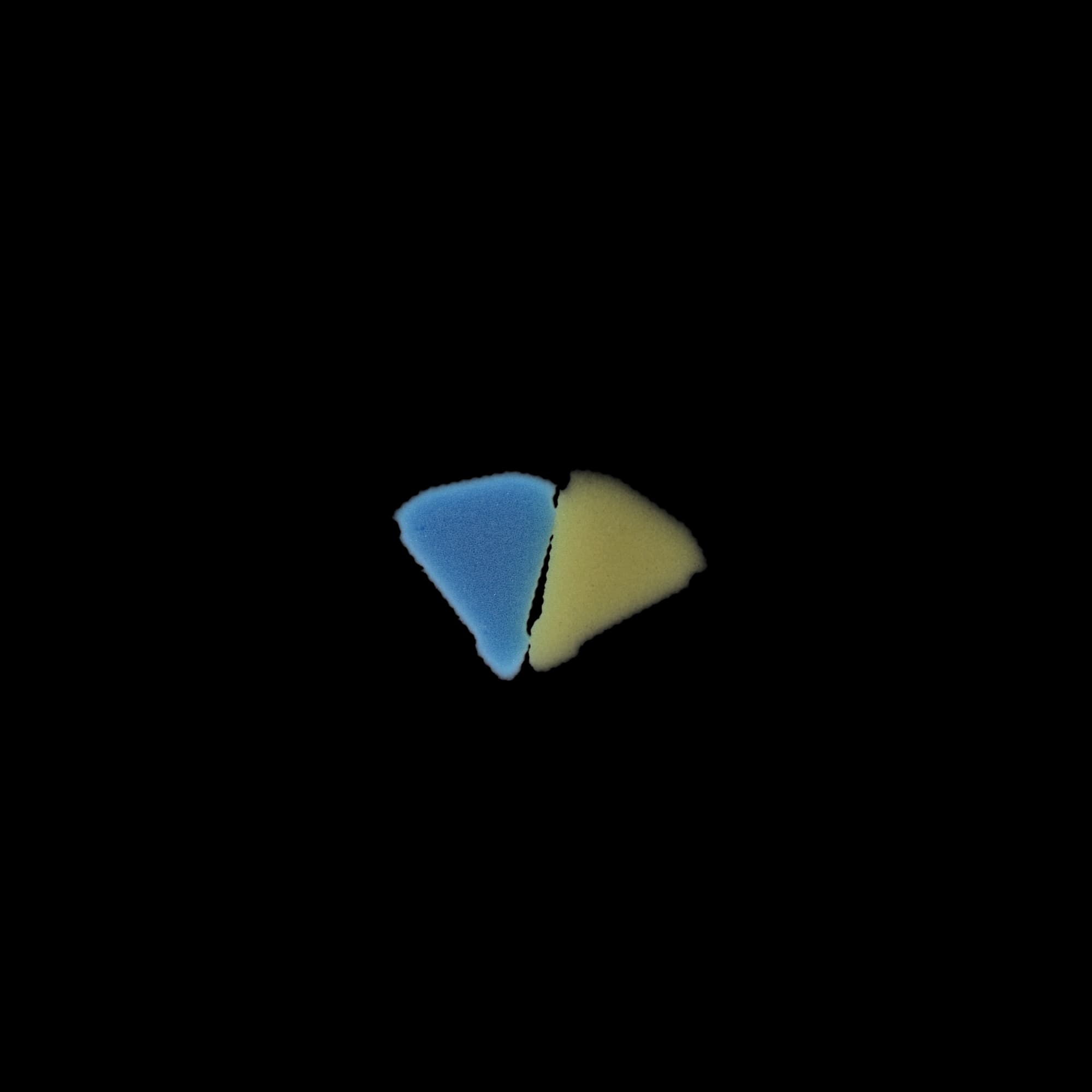 Almore EndoRing Foam Inserts, Yellow & Blue, Disposable, 48/Pkg, 33630 - Blue/Yellow (24 of Each Color) ,33630 - Image 1