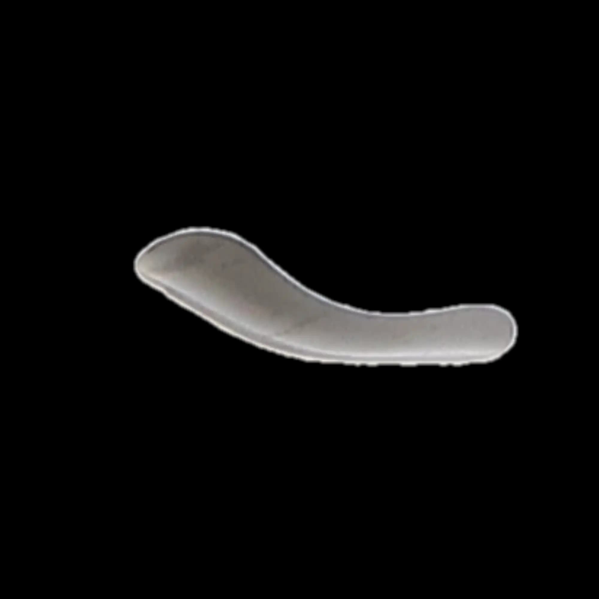 Palodent Sectional Matrix System Mini-Matrix Refill, 50/Pkg, 659020 thumbnail 6