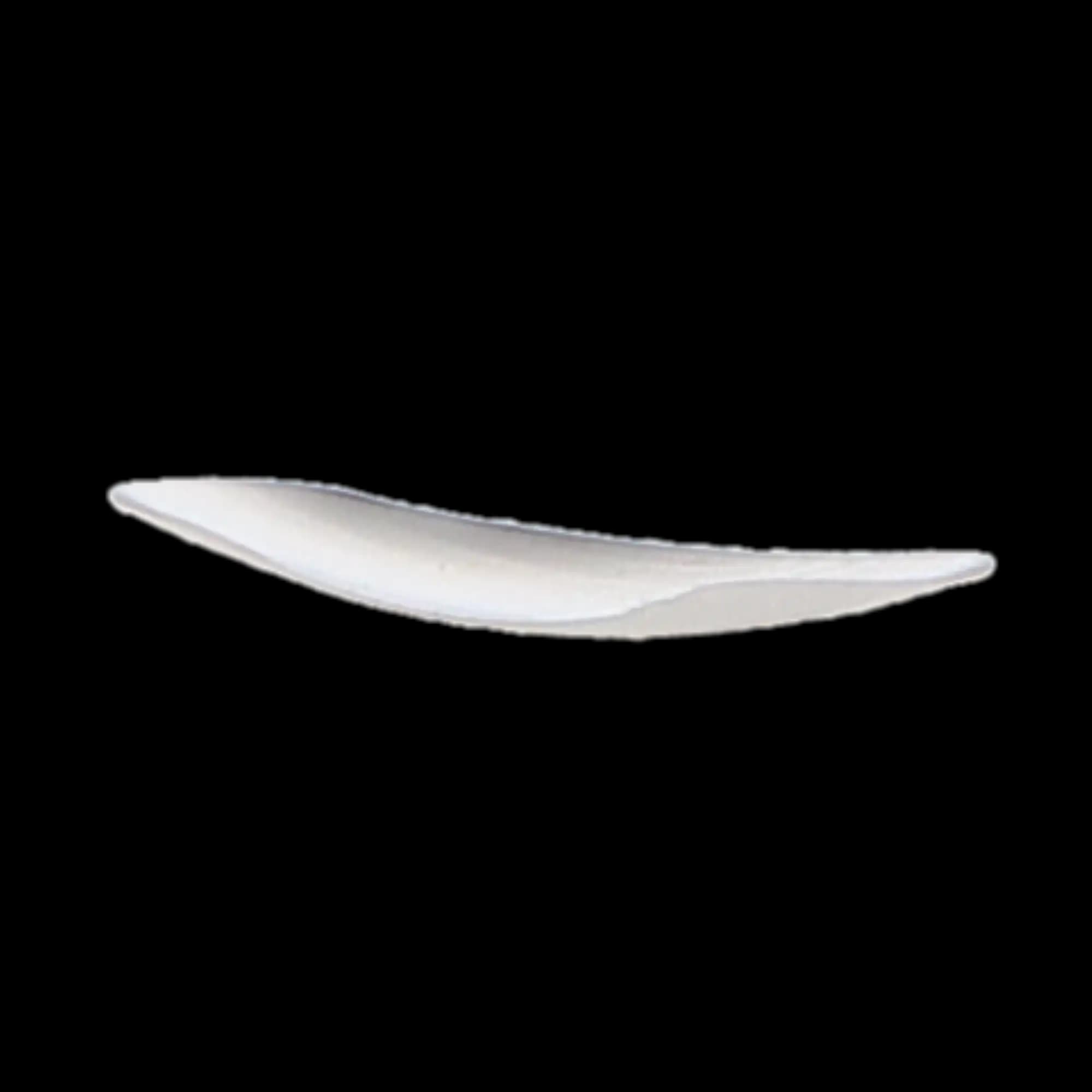 Composi-Tight M-Series Molar Matrix Bands, 6.4 mm, Large, 100/Pk, M200 thumbnail 5