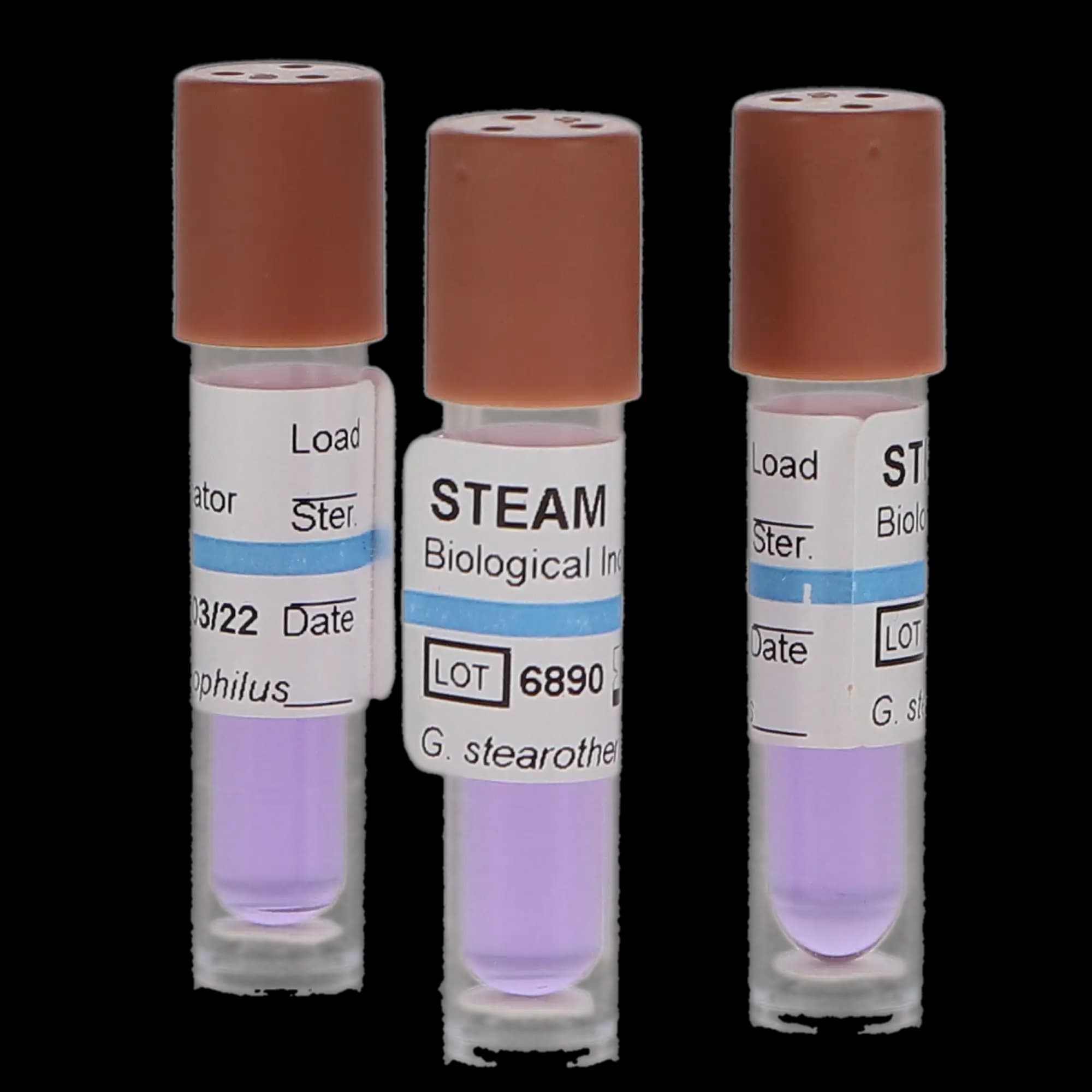 SporView Self-Contained Steam Biological Indicator, 24-Hour, 100/Box, SCS-100 thumbnail 8