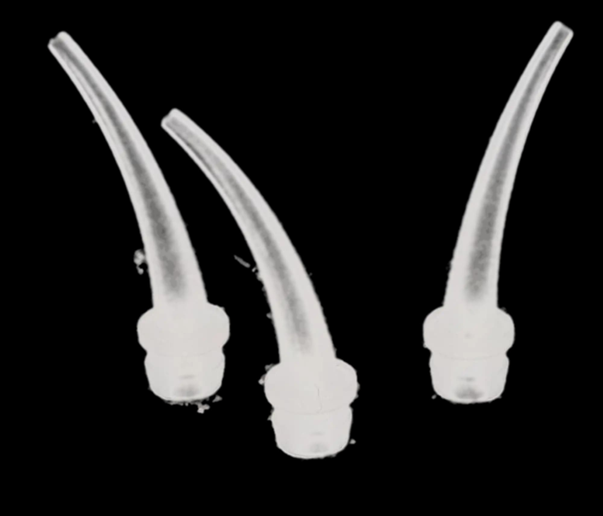 Mimic Intraoral Tips, Heavy Body, 6.5 mm, Large, Clear, 100/Pk, IO-CL thumbnail 2