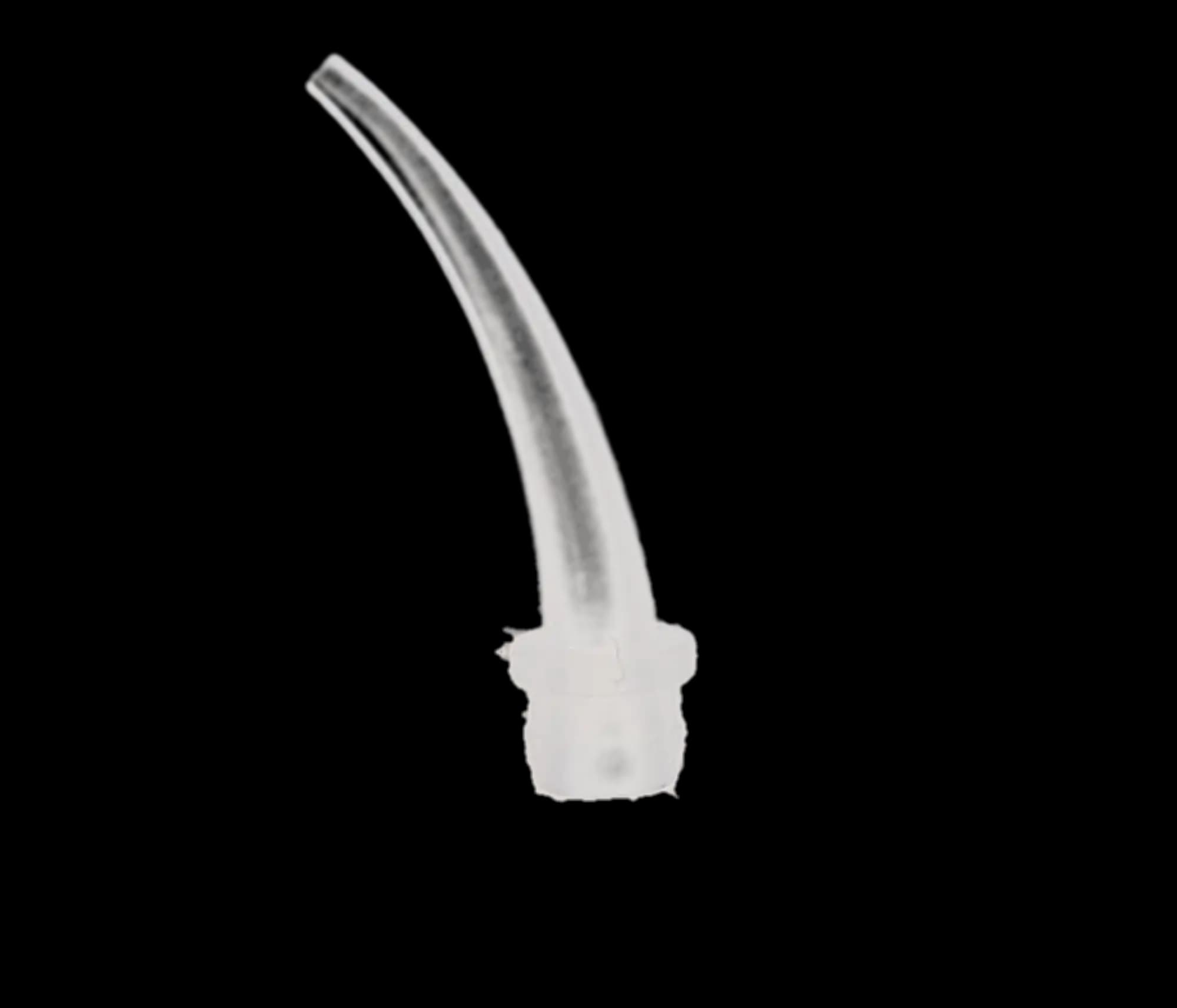 Mimic Intraoral Tips, Heavy Body, 6.5 mm, Large, Clear, 100/Pk, IO-CL thumbnail 5