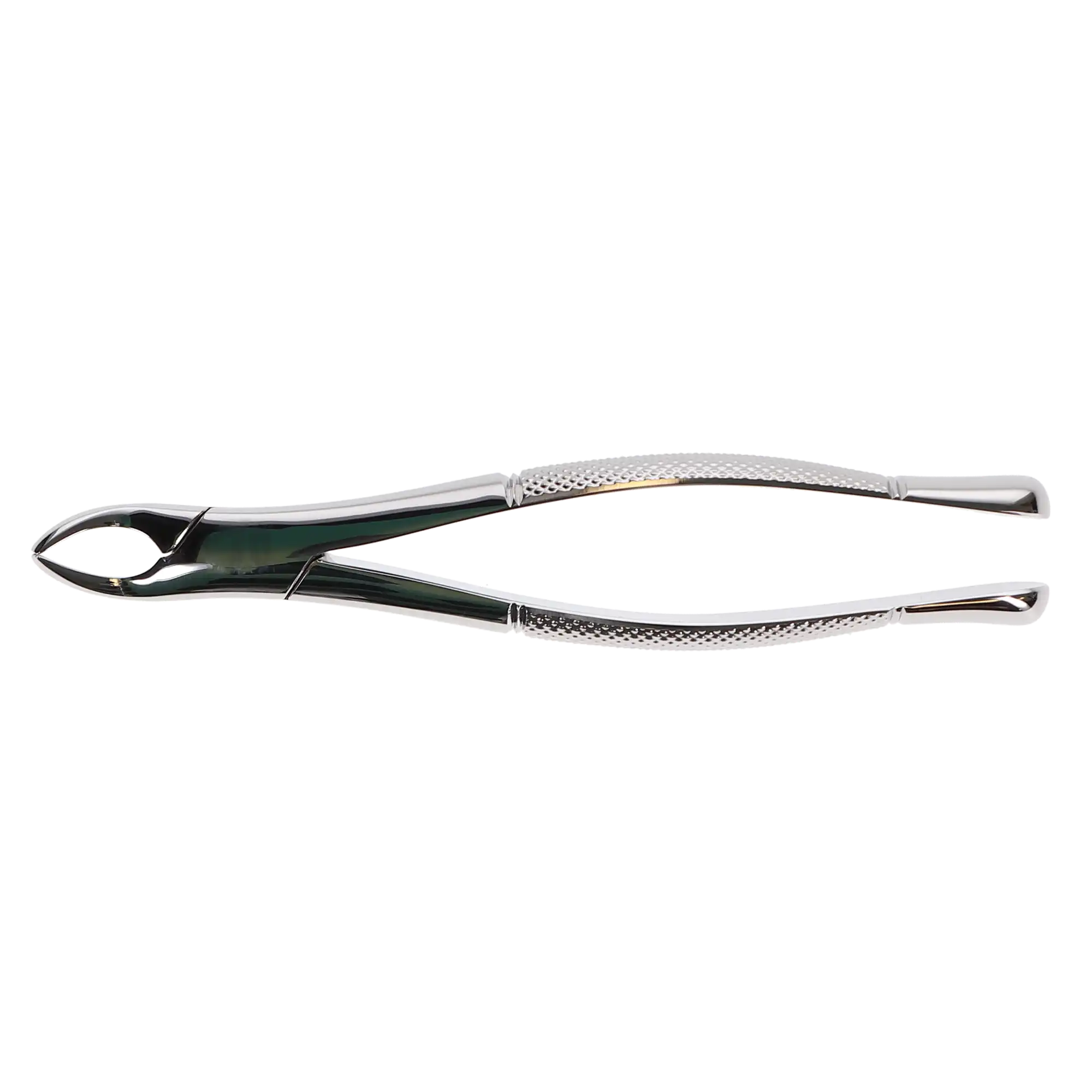 Hu-Friedy Presidential Cryer 150 Universal Extraction Forceps, Upper Incisors/Canines/Premolars/Roots, 1 Each, F150 thumbnail 6