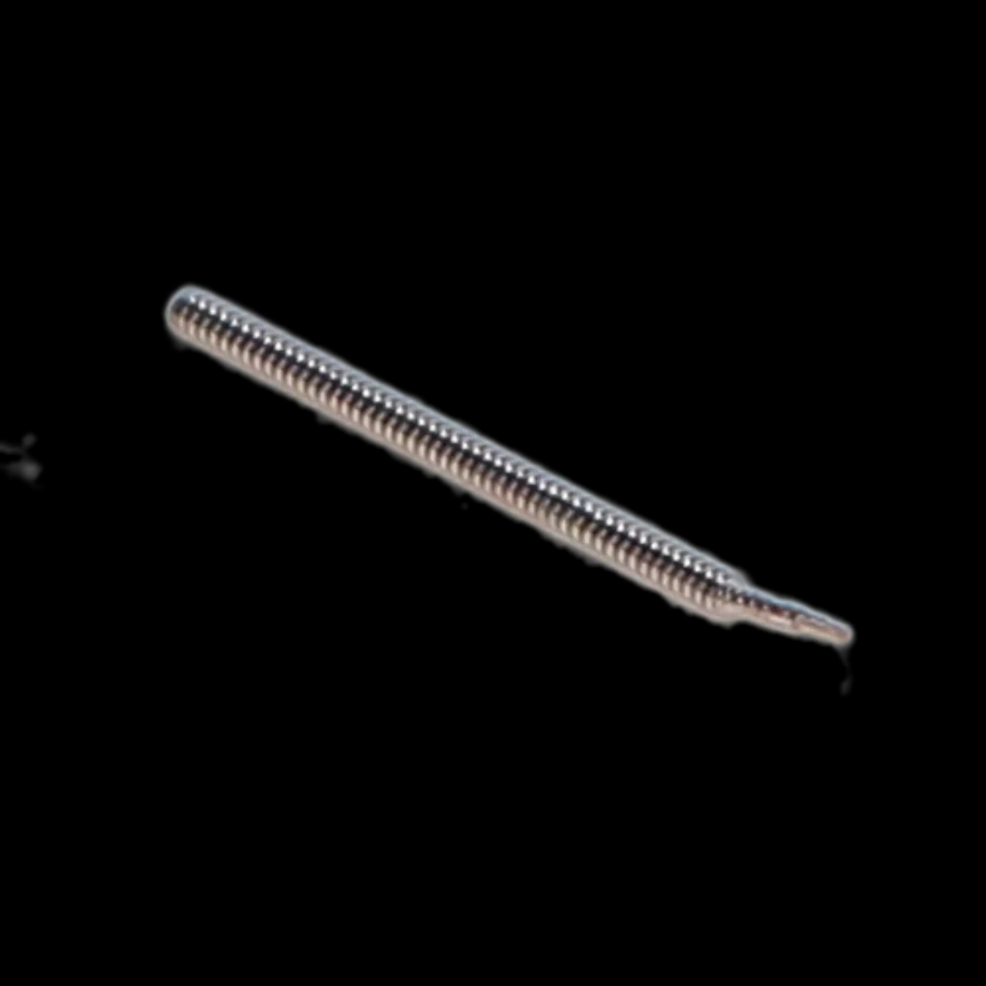 ParaPost Titanium Endodontic Post Refill, Size 4, Yellow, 0.040" (1.0mm), 10/Pk, P84-4 thumbnail 4