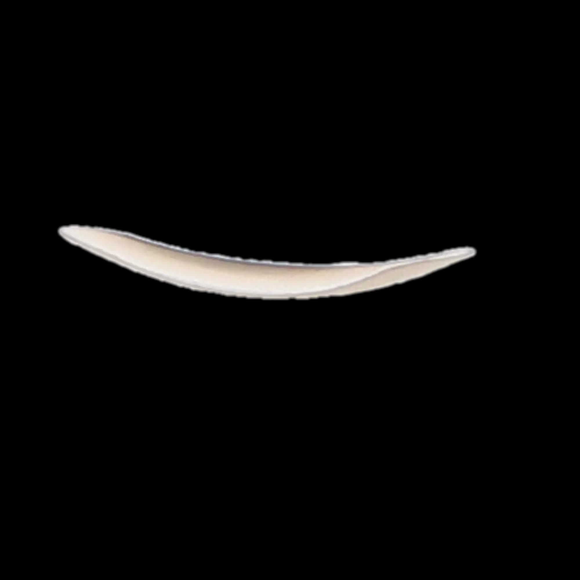 Composi-Tight Gold Bicuspid Matrix Bands, 4.6 mm, 100/Pk, AU100 thumbnail 5