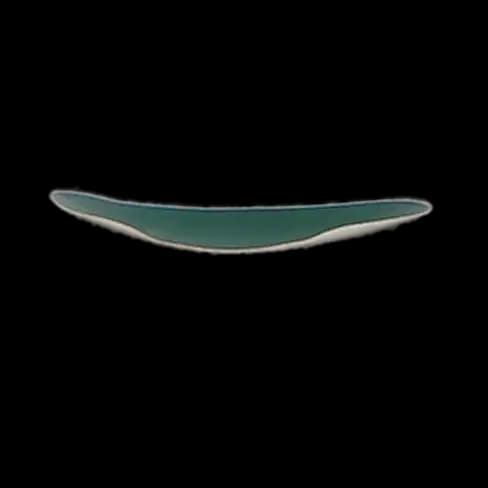 Garrison Dental Slick Bands Molar Matrices, 6.4 mm, Large, Green, 100/Pk, SM200 thumbnail 5