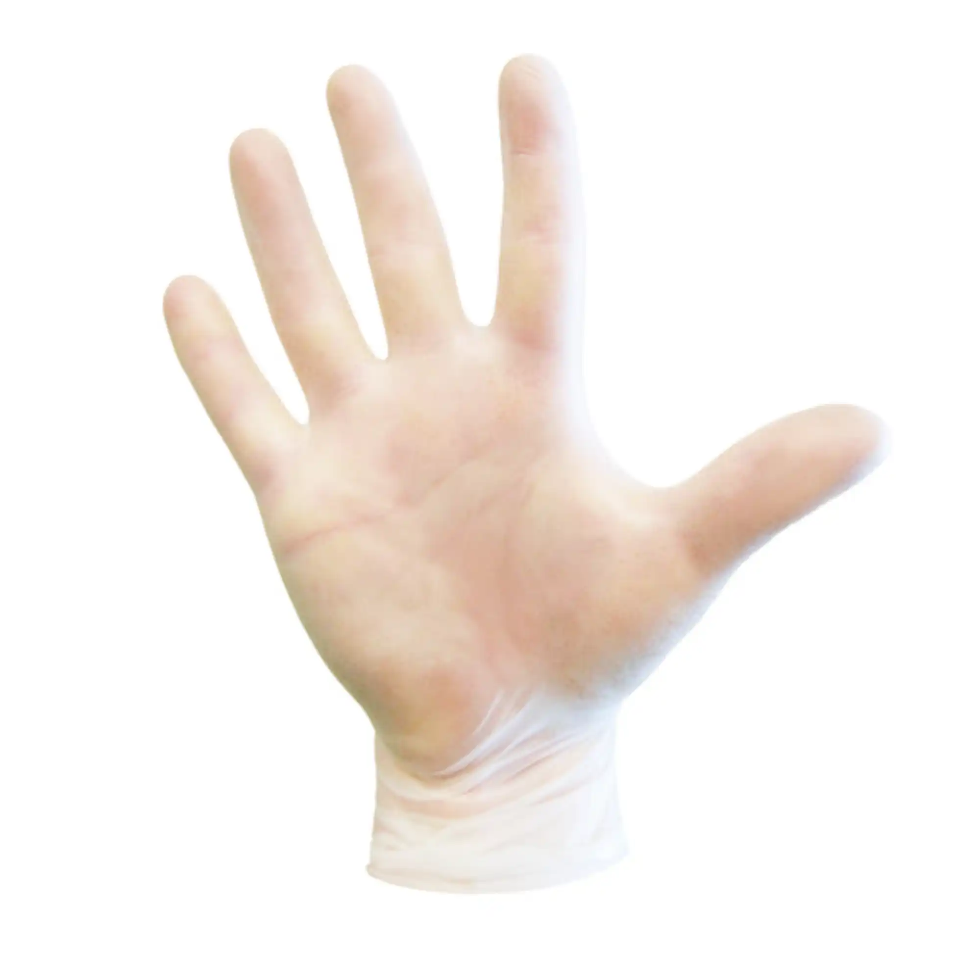 Dash Medical Gloves Vinyl PF Exam Gloves, Powder Free, Latex Free, Non-Sterile, Clear, Medium, 100/Box, SPF100M thumbnail 9