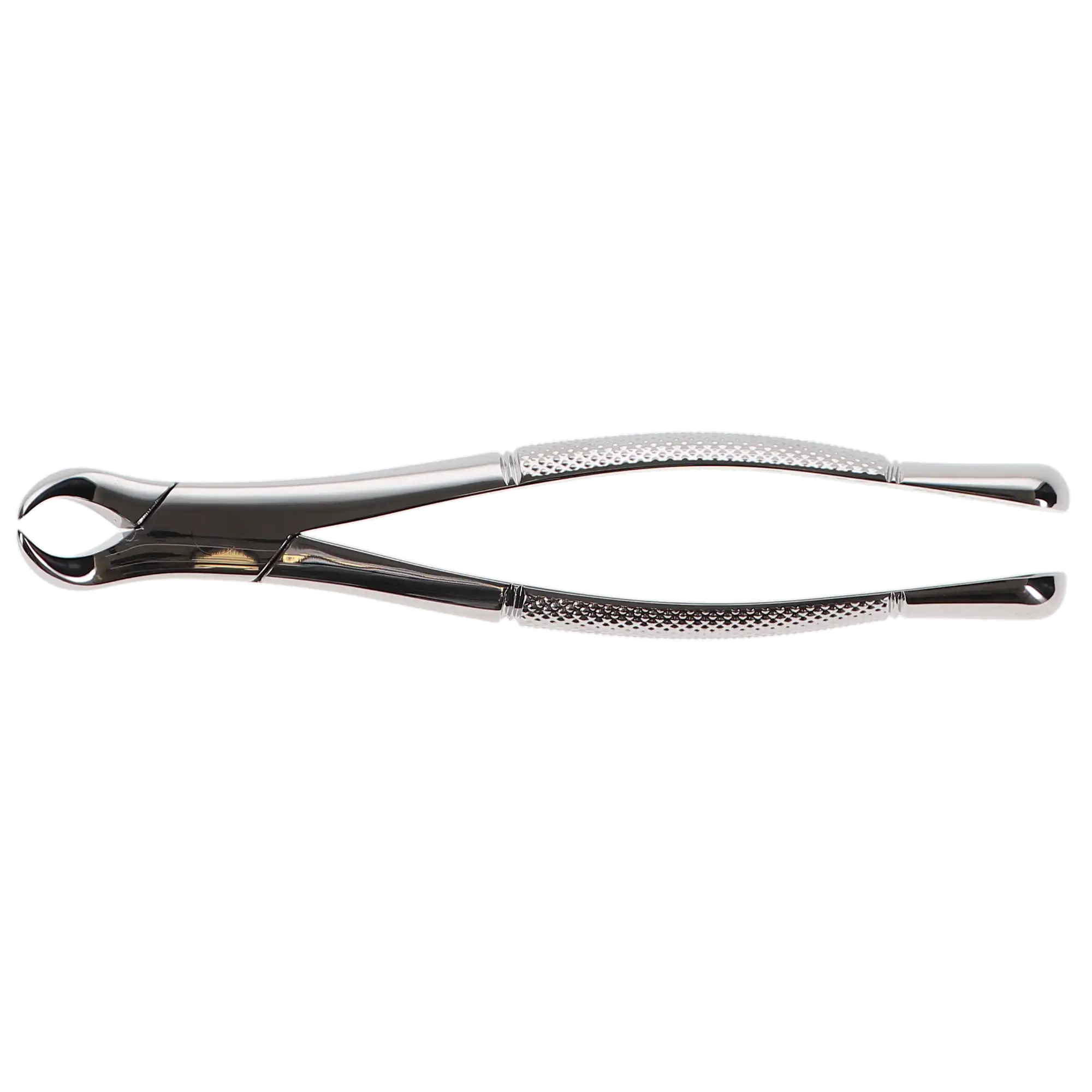 Hu-Friedy Presidential #23 Cowhorn Extraction Forceps, Lower 1st & 2nd Molars, Stainless Steel, 1 Each, F23 thumbnail 6