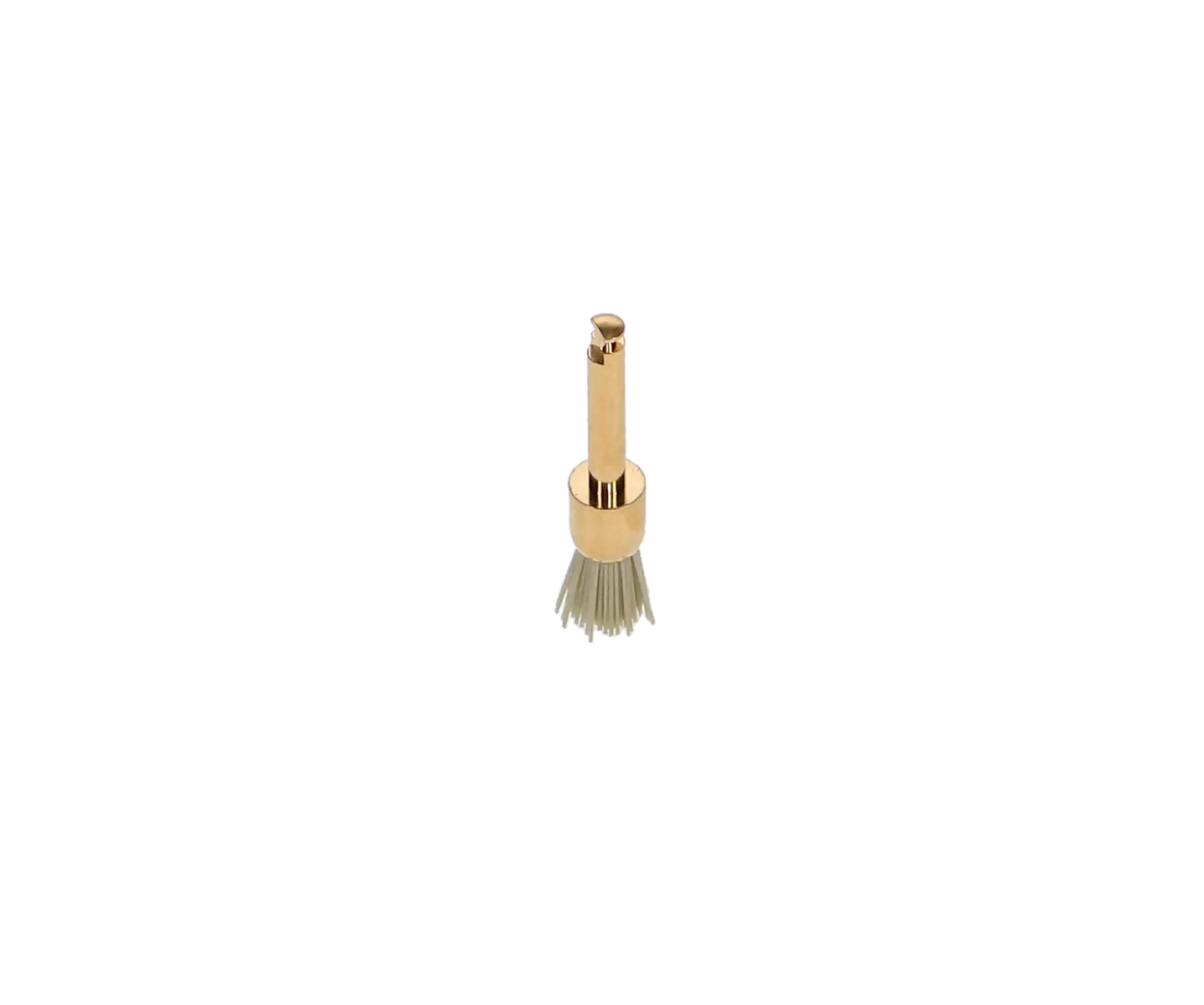 Kerr Occlubrush One-Step Polishing Brush Refills, Small Cup, 10/Pk, 2511 thumbnail 3