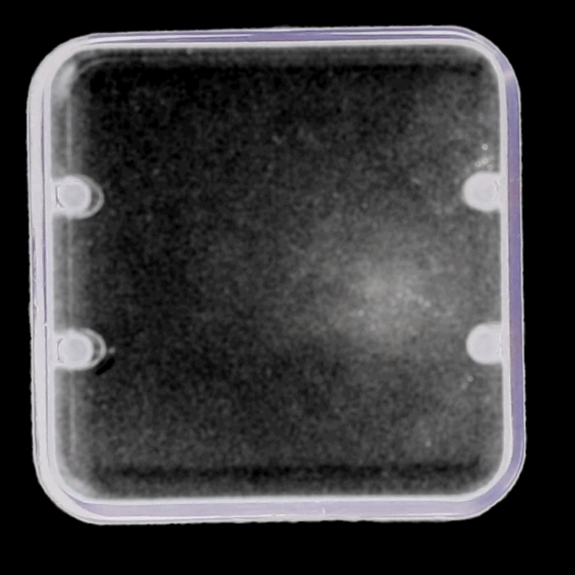 Zirc 8-Hole Magnetic Bur Block Cover, 1" High, Clear, 1/Pk, 50Z401 thumbnail 7