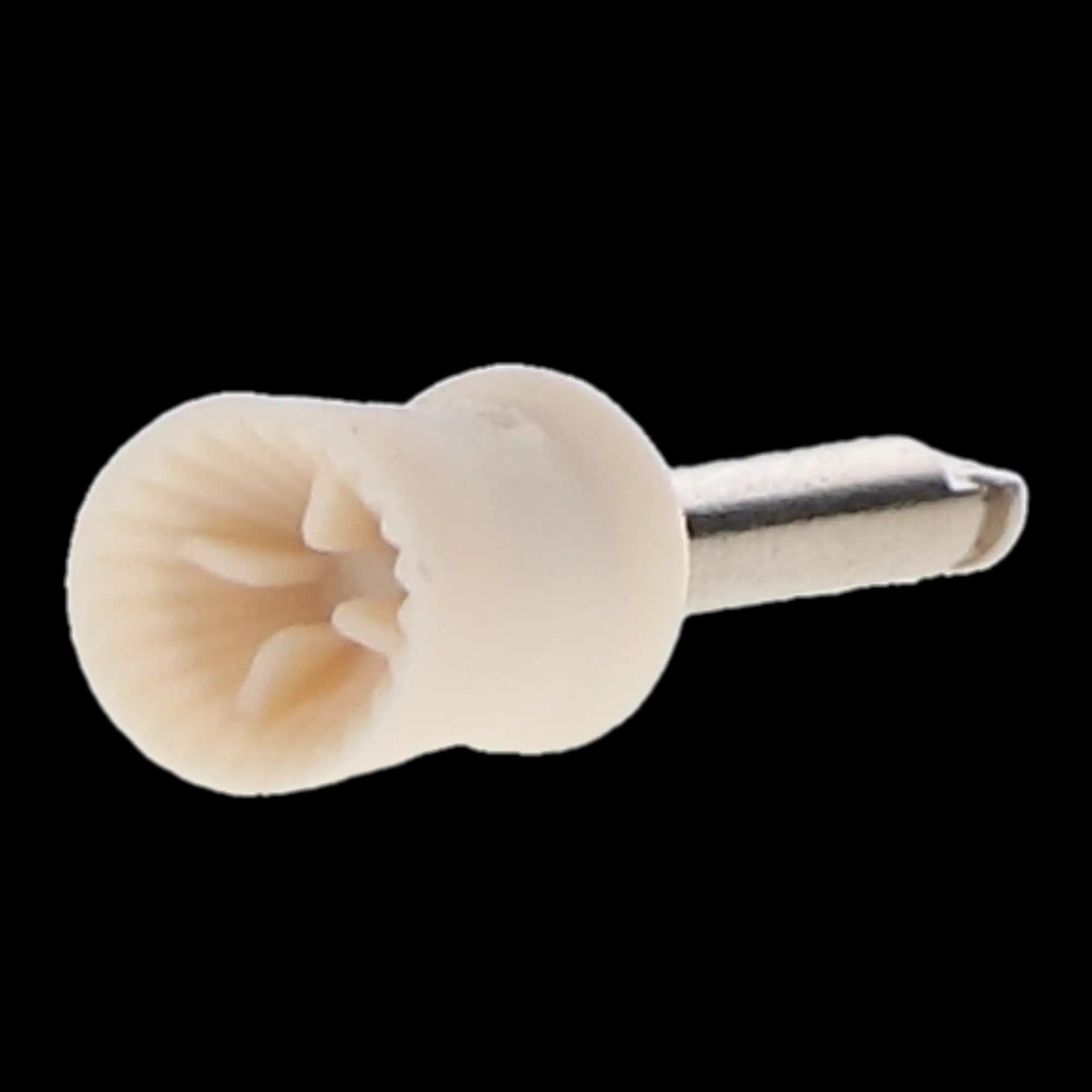 Pac-Dent Disposable Prophy Cups, Latch Type, Firm, White, 144/Pk, 252W - Disposable Prophy Cups, Latch Type, Firm, White, 144/Pk, 252W - Image 1