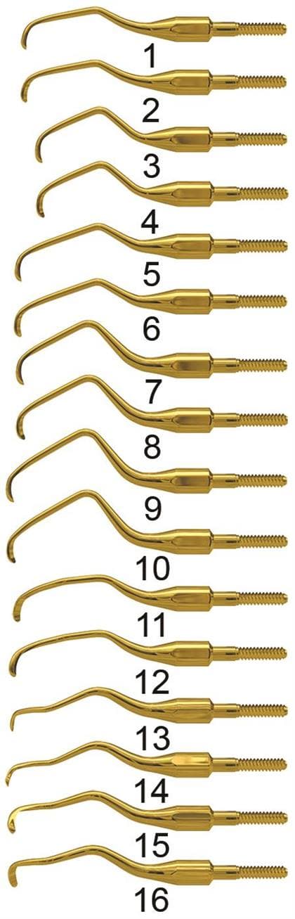 American Eagle Instruments XP Squared Technology Quik-Tip Gracey Standard 8 Curette, Cone Socket, 440A Stainless Steel, AEG8XPQT thumbnail 3