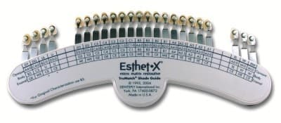 Esthet-X HD TruMatch Shade Guide, 630603, 1/Pk thumbnail 8