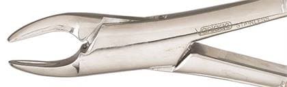 Vantage #150S Pedo Extracting Forceps, Upper Incisor/Bicuspids/Roots, Serrated, Stainless Steel thumbnail 3
