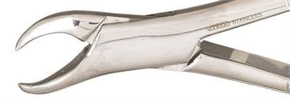 Vantage Forcep #23 SG Serrated Cowhorn Extracting Forceps, Stainless Steel thumbnail 3
