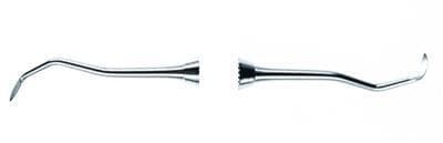 Burkhart Scaler DE Posterior Jacquette #31/32 - Scaler DE Posterior Jacquette #31/32 - Image 1