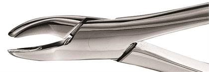 Hu-Friedy #62 Extraction Forceps, Universal, Stainless Steel, Upper and Lower Anteriors, F62 thumbnail 5