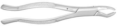 J&J Extracting Forceps #53R, Right, Upper Molar Bayonet, Stainless Steel, 05-535 thumbnail 3