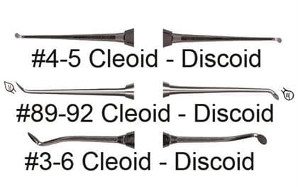 Burkhart Cleoid-Discoid 4/5 (Small) Carver - Cleoid-Discoid 4/5 (small) - Image 1