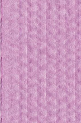Crosstex Advantage Plus Patient Bib, 3-Ply Tissue/Poly, Lavender, 18" x 13", 500/Case, WPXALV thumbnail 6