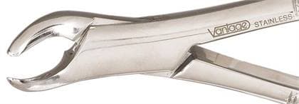 Vantage #151S SG Pediatric Extracting Forceps, Serrated, Universal Lower Incisors, Bicuspids and Roots, Stainless Steel, 6" thumbnail 3