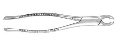 J&J Instruments Extracting Forceps #17, Universal, Straight Handle, Stainless Steel, Each, 05-170 thumbnail 3