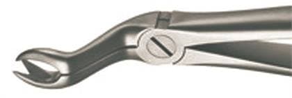 Xcision Extracting Forceps #67R, Upper 3rd Molars Right, Stainless Steel thumbnail 4