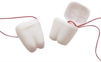 Tooth Keeper Necklace, 30" White, 144/Case - TOOTH KEEPER NECKLACE 30" WHITE (144) - Image 1