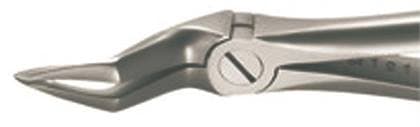 Miltex-Integra Xcision Extracting Forceps #51SB, Upper Roots Universal, Stainless Steel, 1 Each thumbnail 5