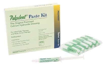 Pulpdent Paste Calcium Hydroxide Pulp Capping Paste, 3 mL Syringe, 1/Pk, PSY thumbnail 15