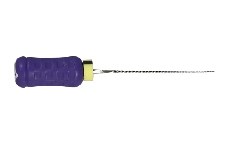 Dentsply Maillefer READYSTEEL Senseus FlexoFile #08, 25mm, Stainless Steel, Sterile, 6/Pk, 6860825 thumbnail 5
