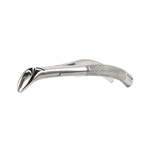 PDT 151S Extra Grip Extracting Forceps, Mandibular Universal, Stainless Steel, T793 thumbnail 4