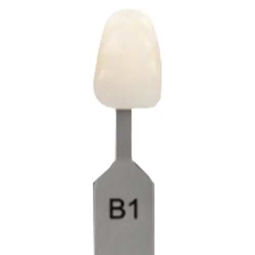 VITA Classical Shade Tab B1, Replacement Shade Guide Tab, G158CN - VITA Classical Shade Tab B1, G158CN - Image 1