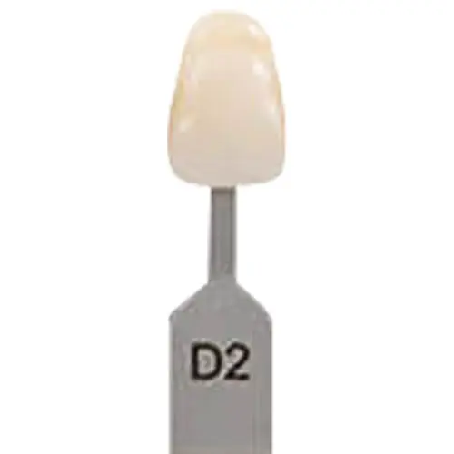 VITA Classical Shade Tab D2, Replacement Shade Guide Tab, G166CN - VITA Classical Shade Tab D2, G166CN - Image 1