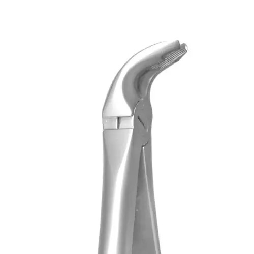 A. Titan Instruments X-TRAC Lower Universal Extracting Forceps, Notched Beaks, Size 2190, Stainless Steel, 1/Pk thumbnail 3