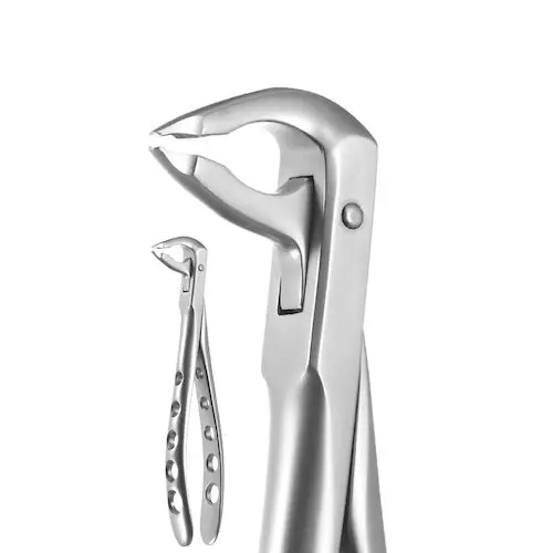 A. Titan Instruments X-TRAC Lower Anterior Extracting Forceps, Notched Beaks, Size 3600N, Stainless Steel, 1 Each thumbnail 3