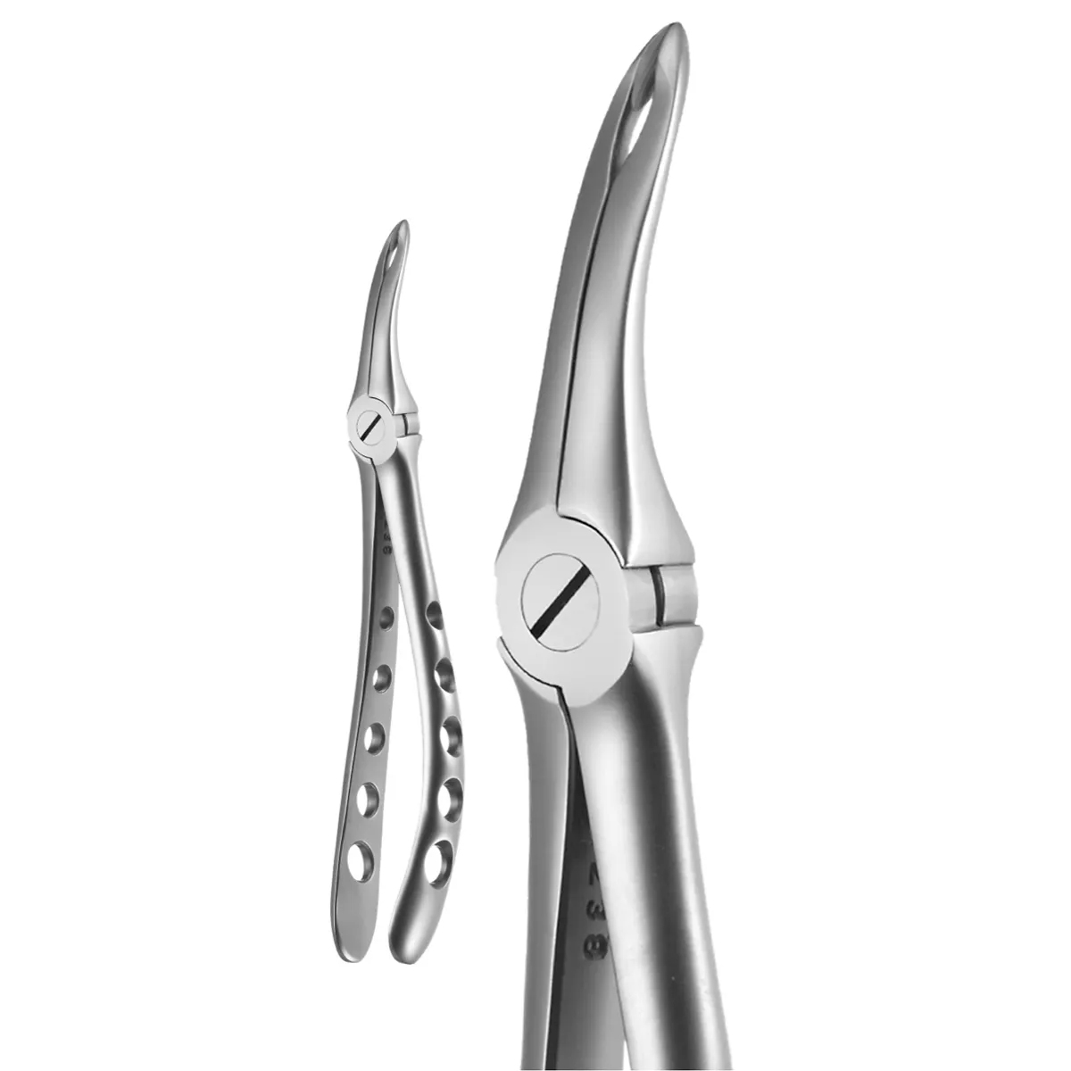 A. Titan Instruments X-TRAC Universal Maxillary Root Tip Forceps, Serrated, Stainless Steel, Size 4415, 1 Each thumbnail 2