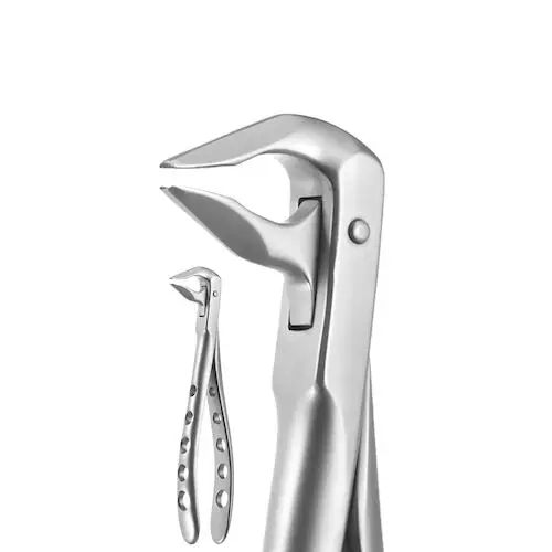 A. Titan Instruments X-TRAC Lower Anterior Extracting Forceps, Beveled Beaks, 3608T thumbnail 3
