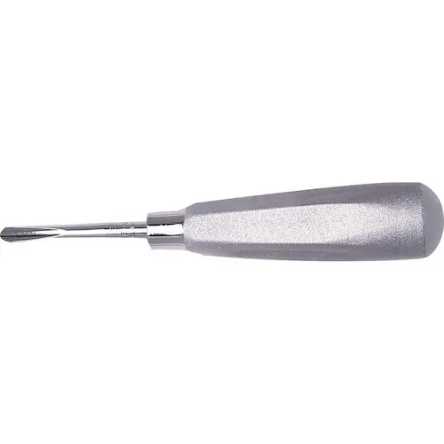 Hu-Friedy E2 Heidbrink Straight Surgical Elevator, #510 Large Tapered Hexagonal Handle, Single End, 1 Each thumbnail 2