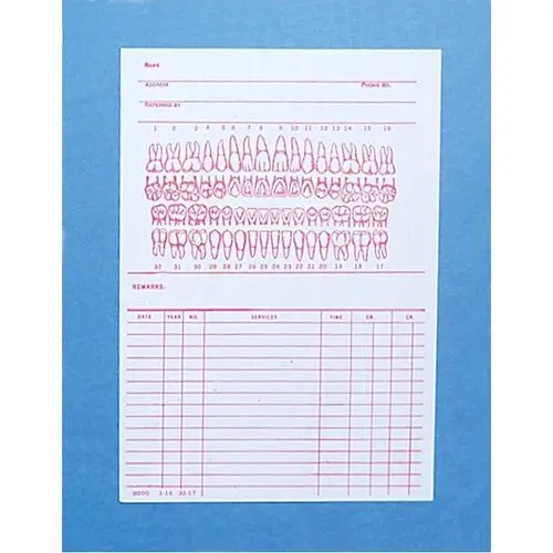 Schapiro Printing Record Cards, 5" x 7", #200, 100/Pkg. - Record Cards 5" x 7", #200, 100/Pkg. - Image 1