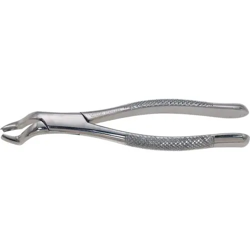 Darby Dental Stainless Steel Extraction Forceps, Straight Handle, #53L, 9552302 - Stainless Steel Extraction Forceps, Straight Handle, #53L, 9552302 - Image 1