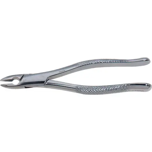 Darby Dental Stainless Steel Extraction Forceps, Straight Handle, #1, 9552310 - Stainless Steel Extraction Forceps, Straight Handle, #1, 9552310 - Image 1